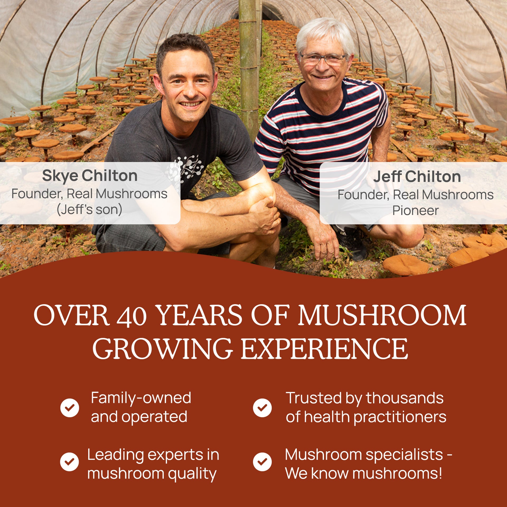 Real Mushrooms History of Mushroom Growing experience