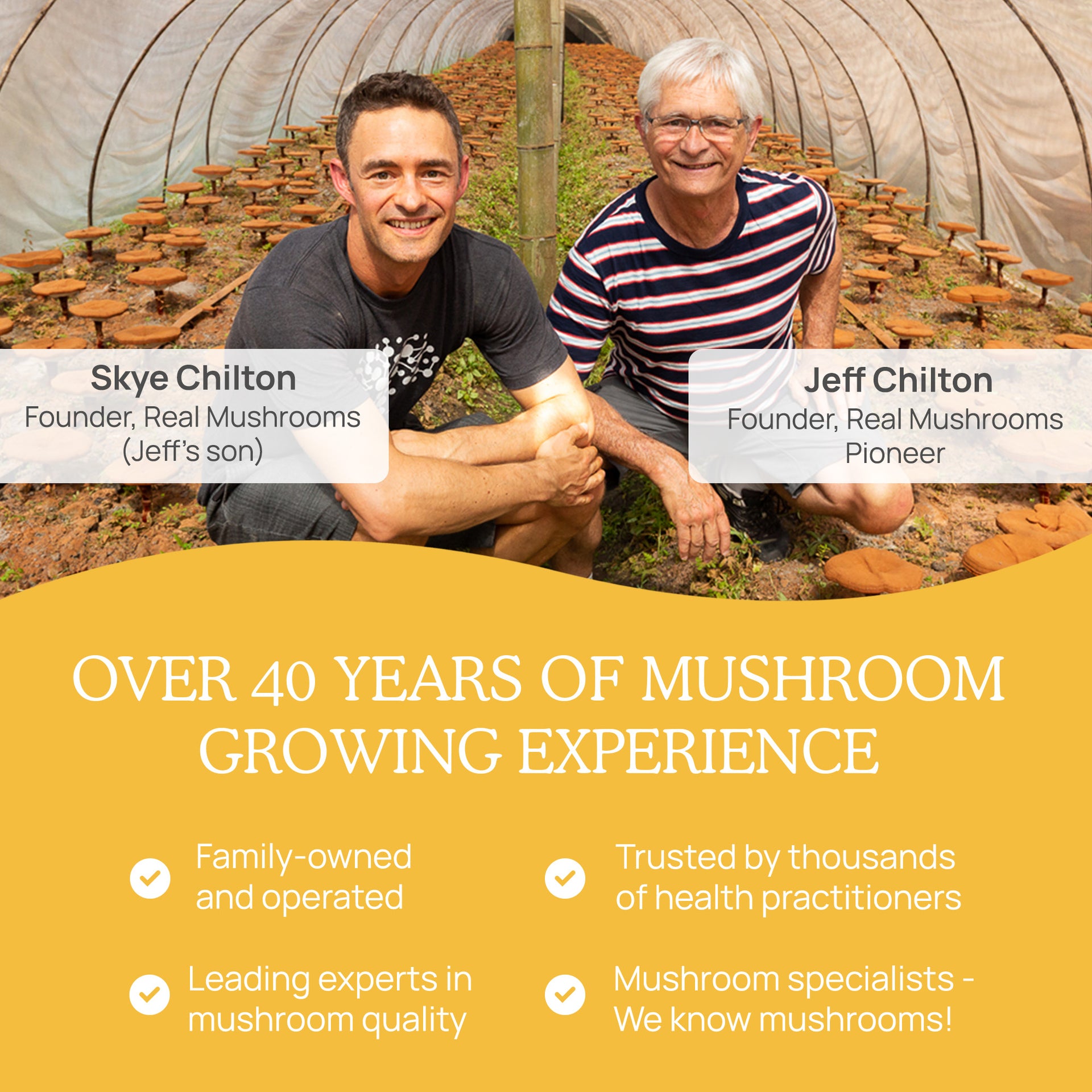 Real Mushrooms History of Mushroom Growing Experience 
