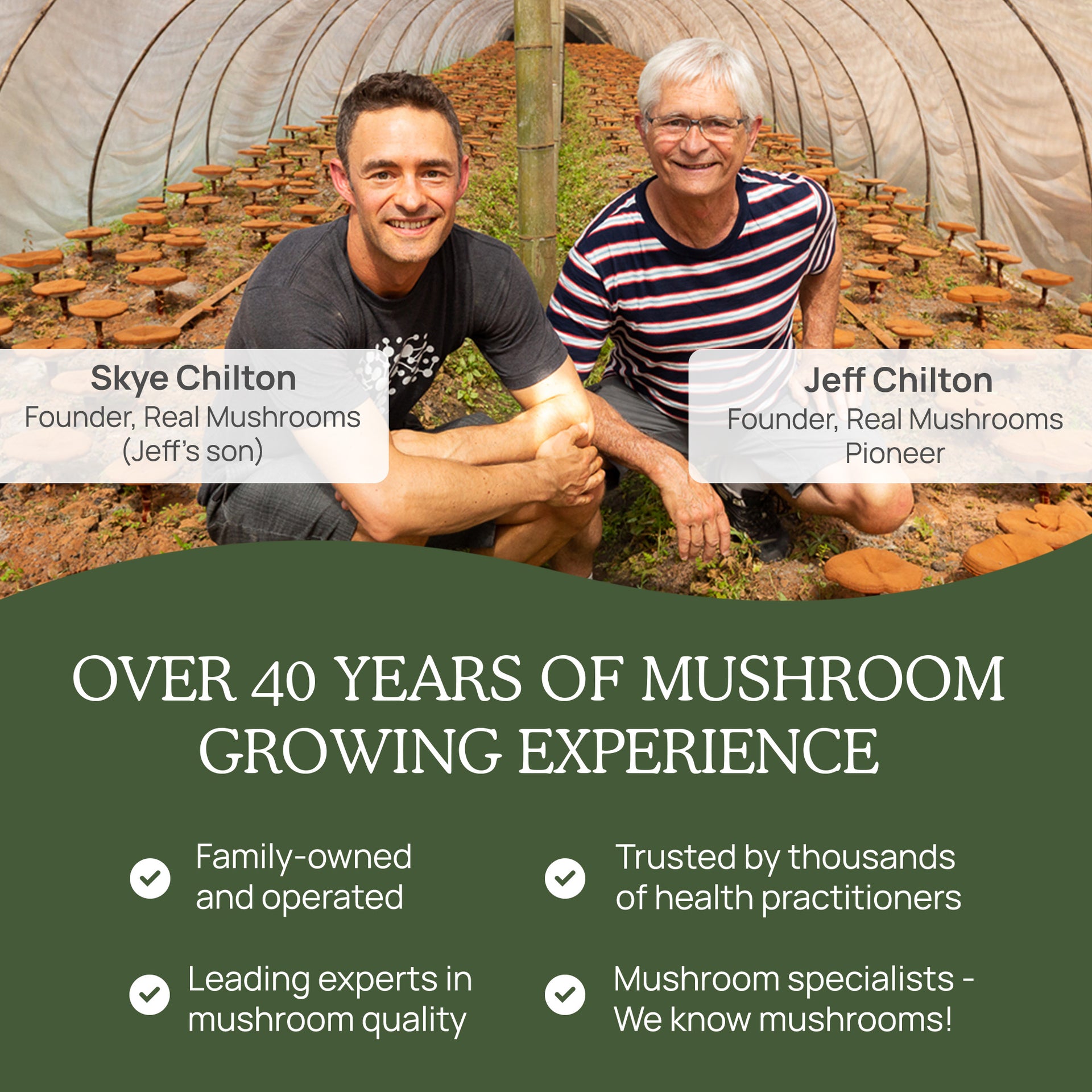 Real Mushrooms history of mushroom growing experience 