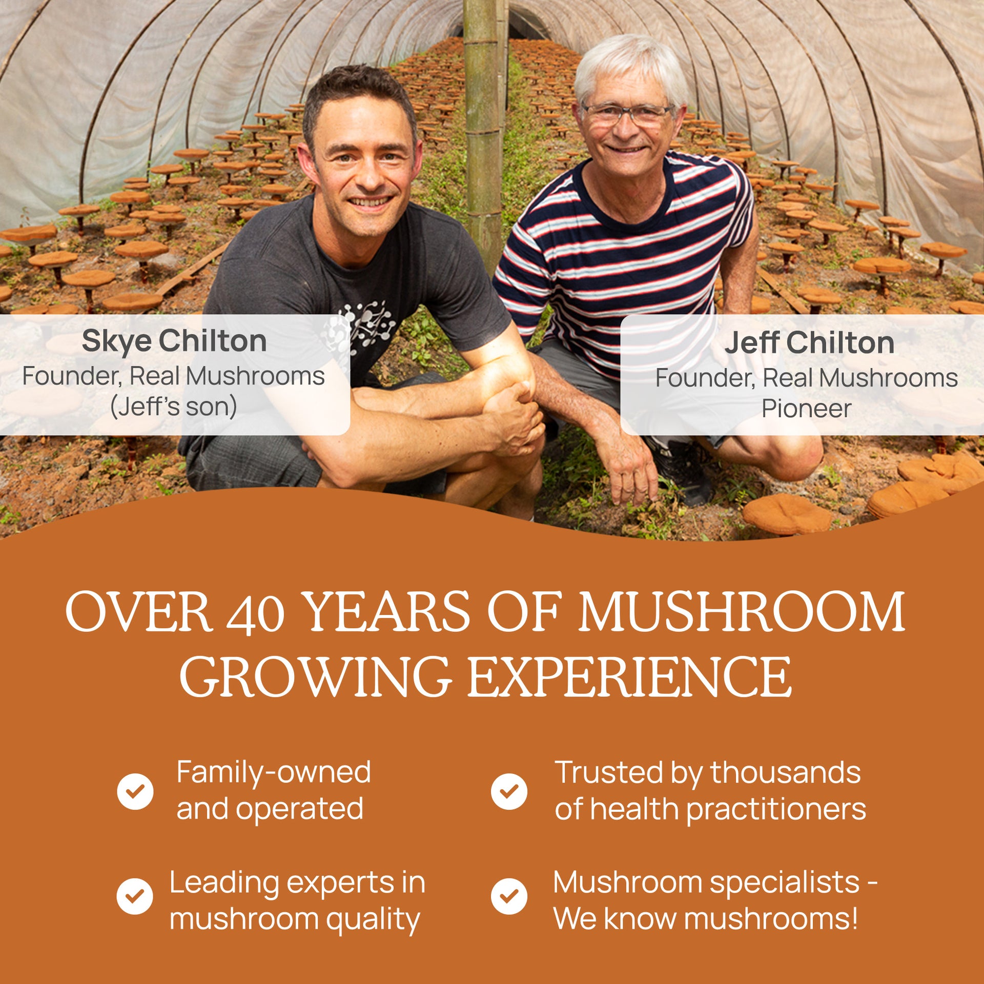 Real Mushrooms History of Mushroom Growing Experience 