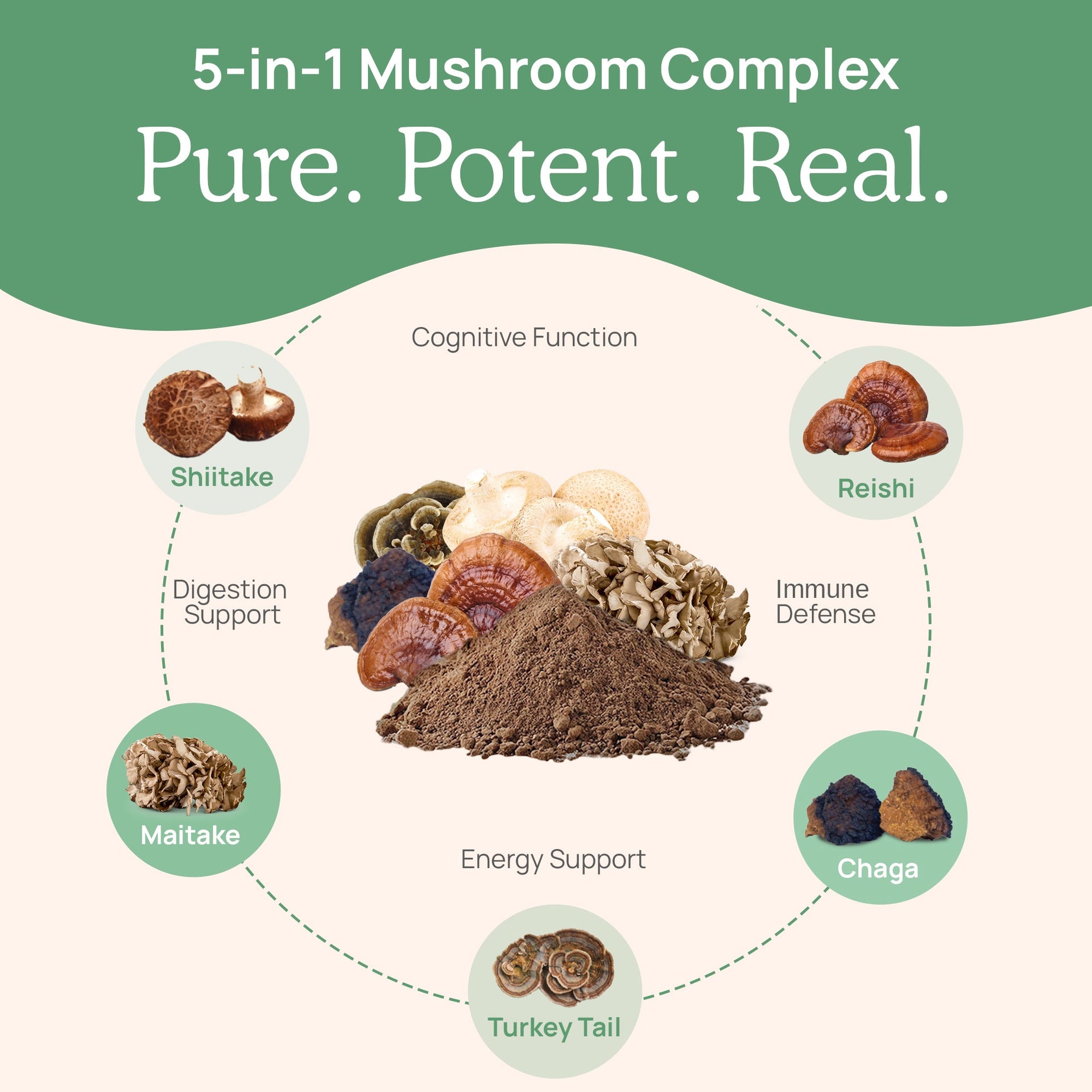 Real Mushrooms for Defenders Mushroom Extract 5 in 1 Mushroom Complex