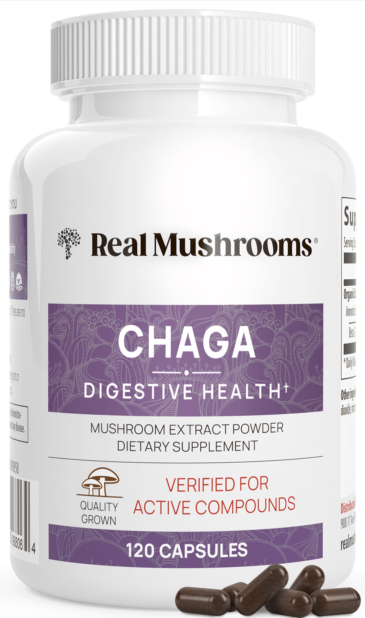 Organic Chaga Extract 120 Capsules