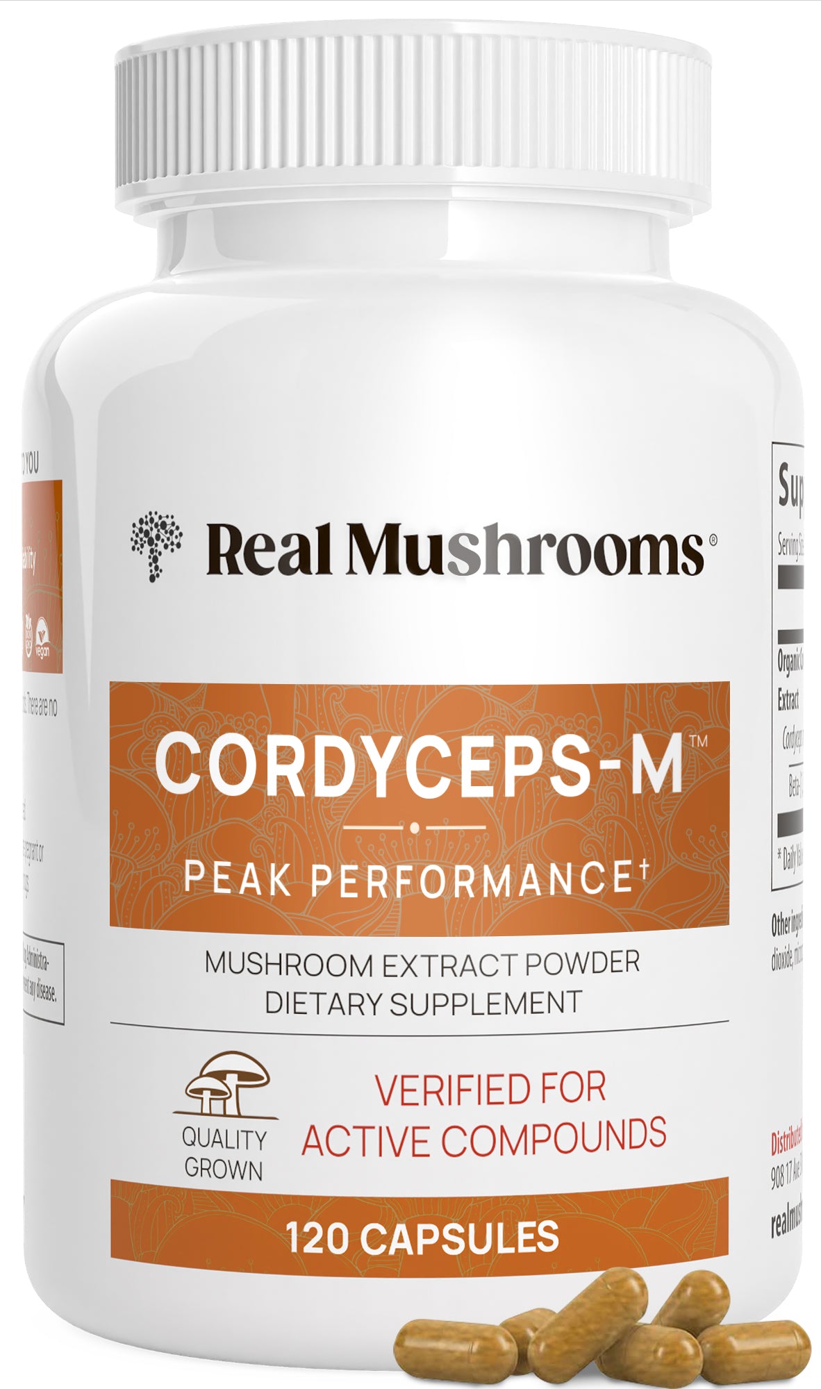 Organic Cordyceps Extract 120 Capsules