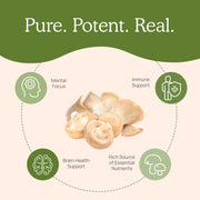 Real Mushrooms Ergo+ Ergothioneine Supplement Benefits