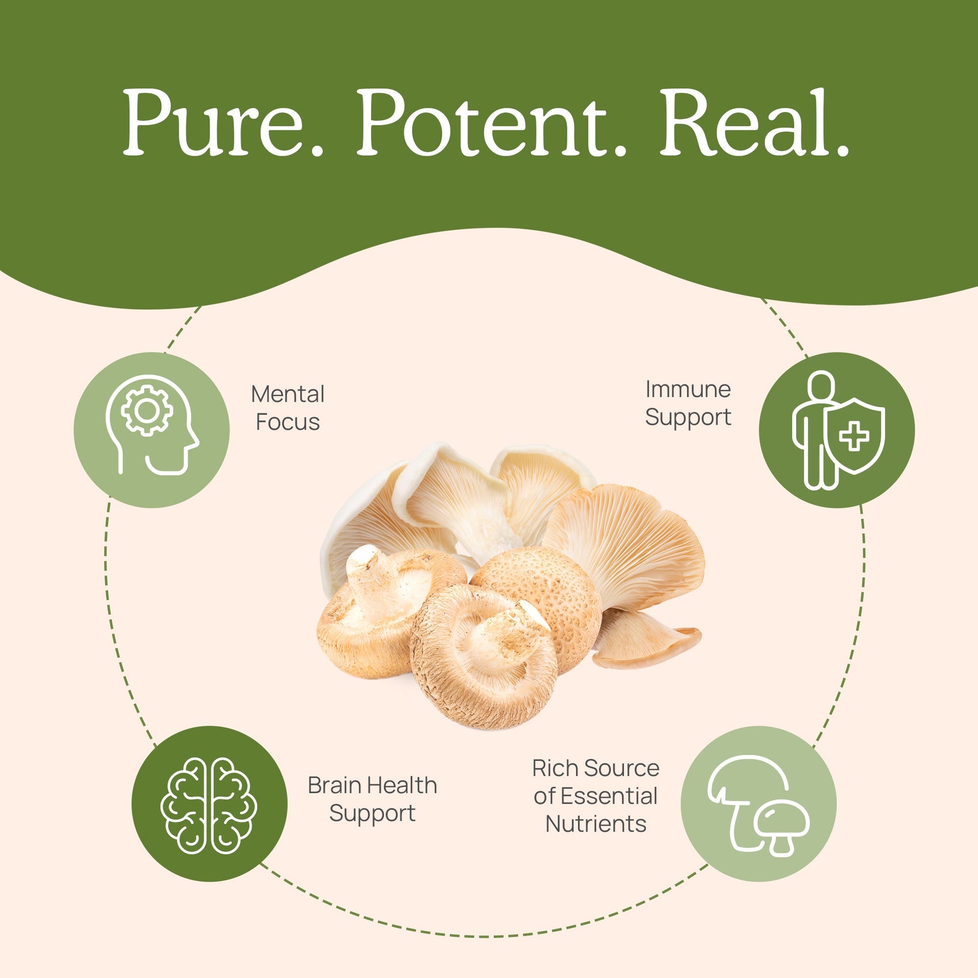 Real Mushrooms Ergo+ Ergothioneine Supplement Benefits