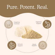 Real Mushrooms  Organic Lions Mane Extract Capsules Benefits