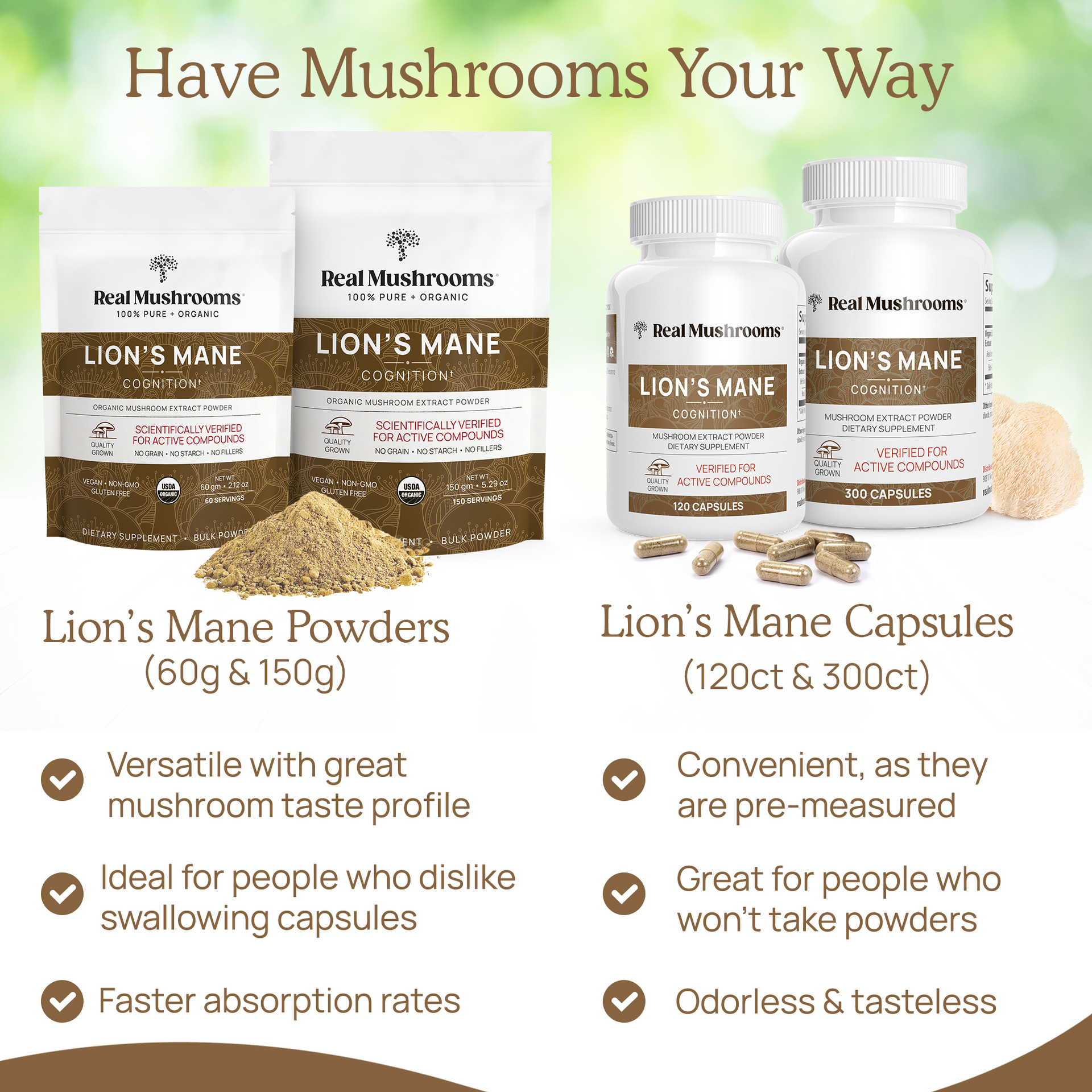 Organic Lions Mane Extract Capsules and Powder Other Benefits 