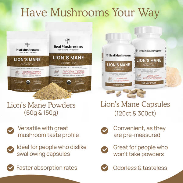 Foundations+ Vitality Bundle - made entirely from mushroom fruiting bodies