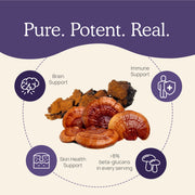 Real Mushrooms D2Z Benefits