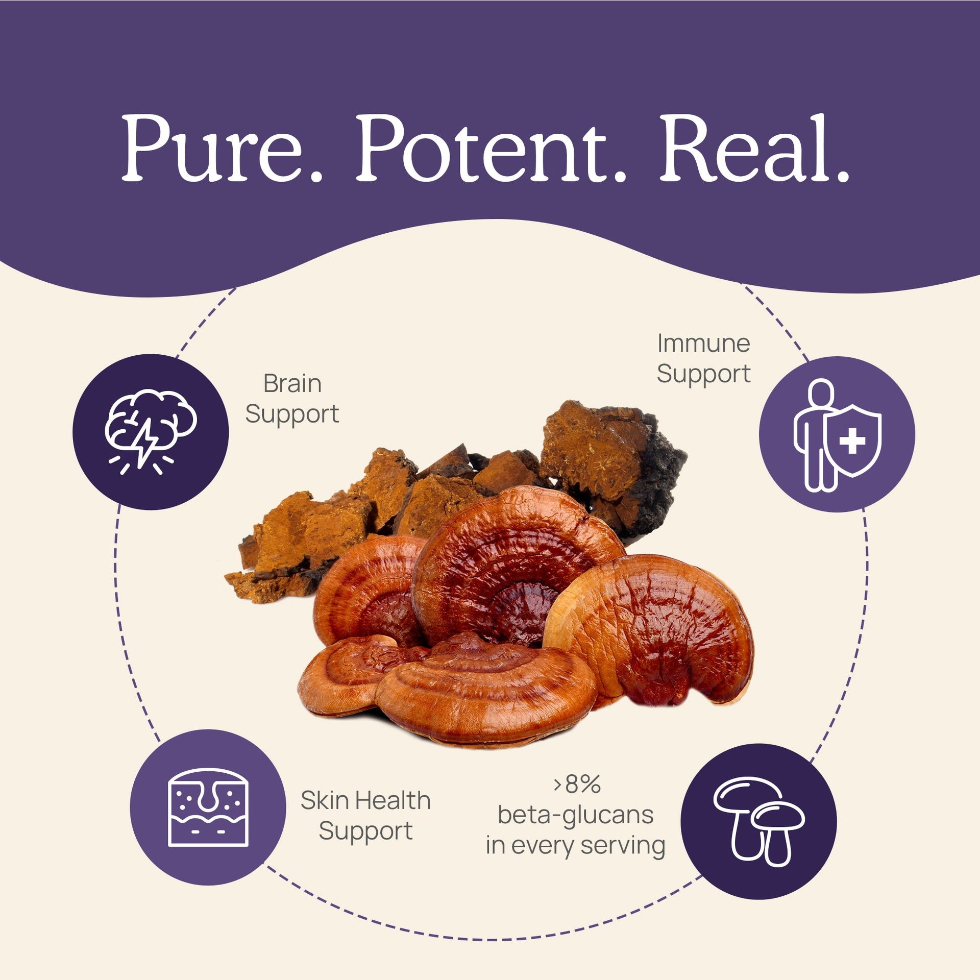 Real Mushrooms D2Z Benefits