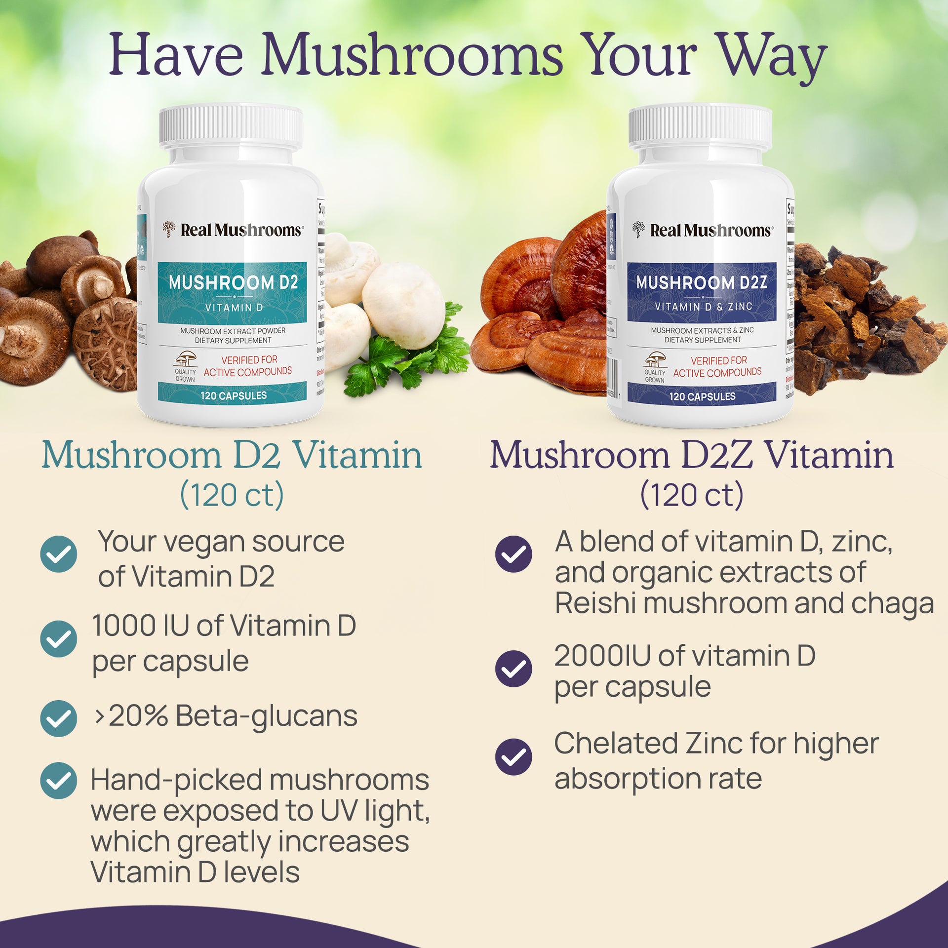 Real Mushrooms D2Z Other Benefits 