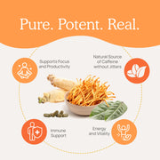 Real Mushrooms Real Boost Benefits