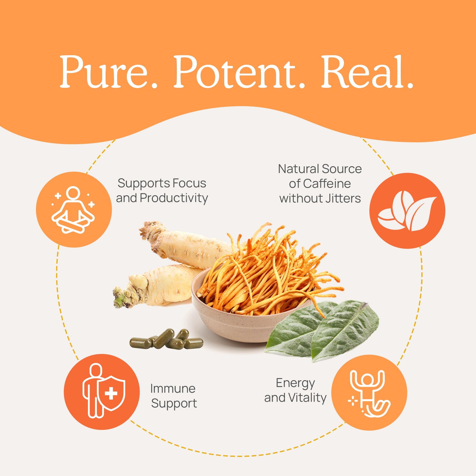 Real Mushrooms Real Boost Benefits