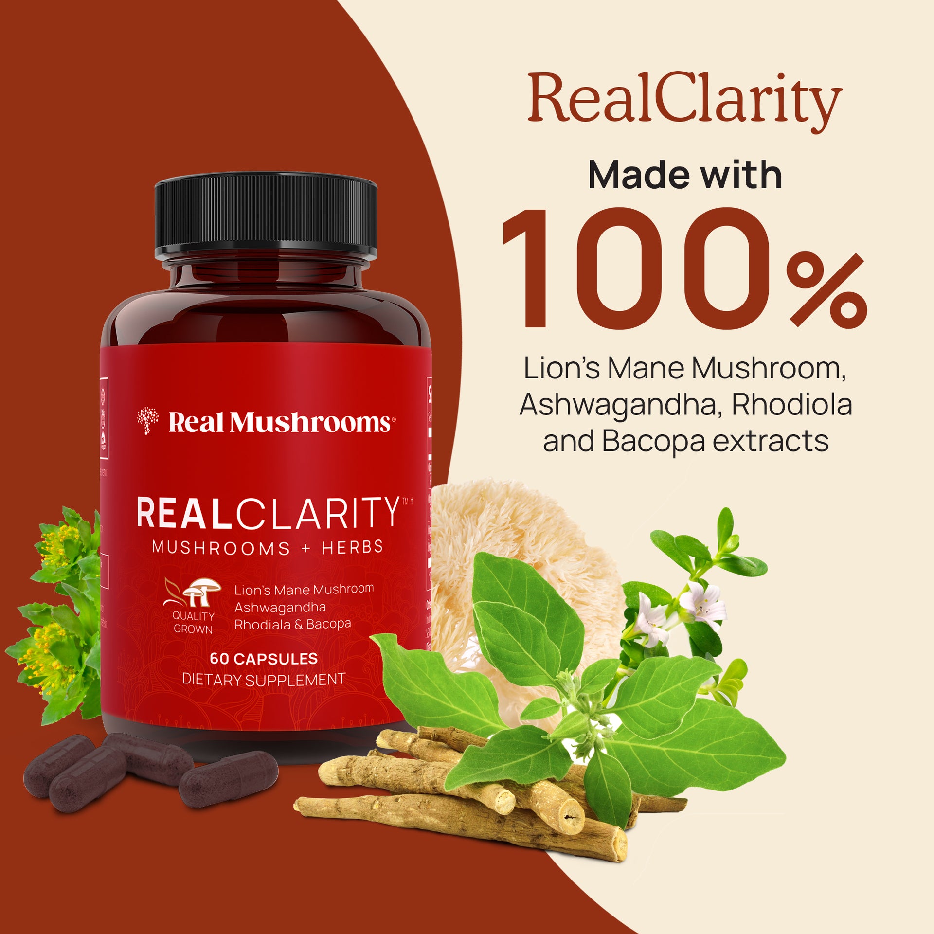RealClarity is made with 100% Lion's Mane, Ashwagandha, Rhodiola and Bacopa