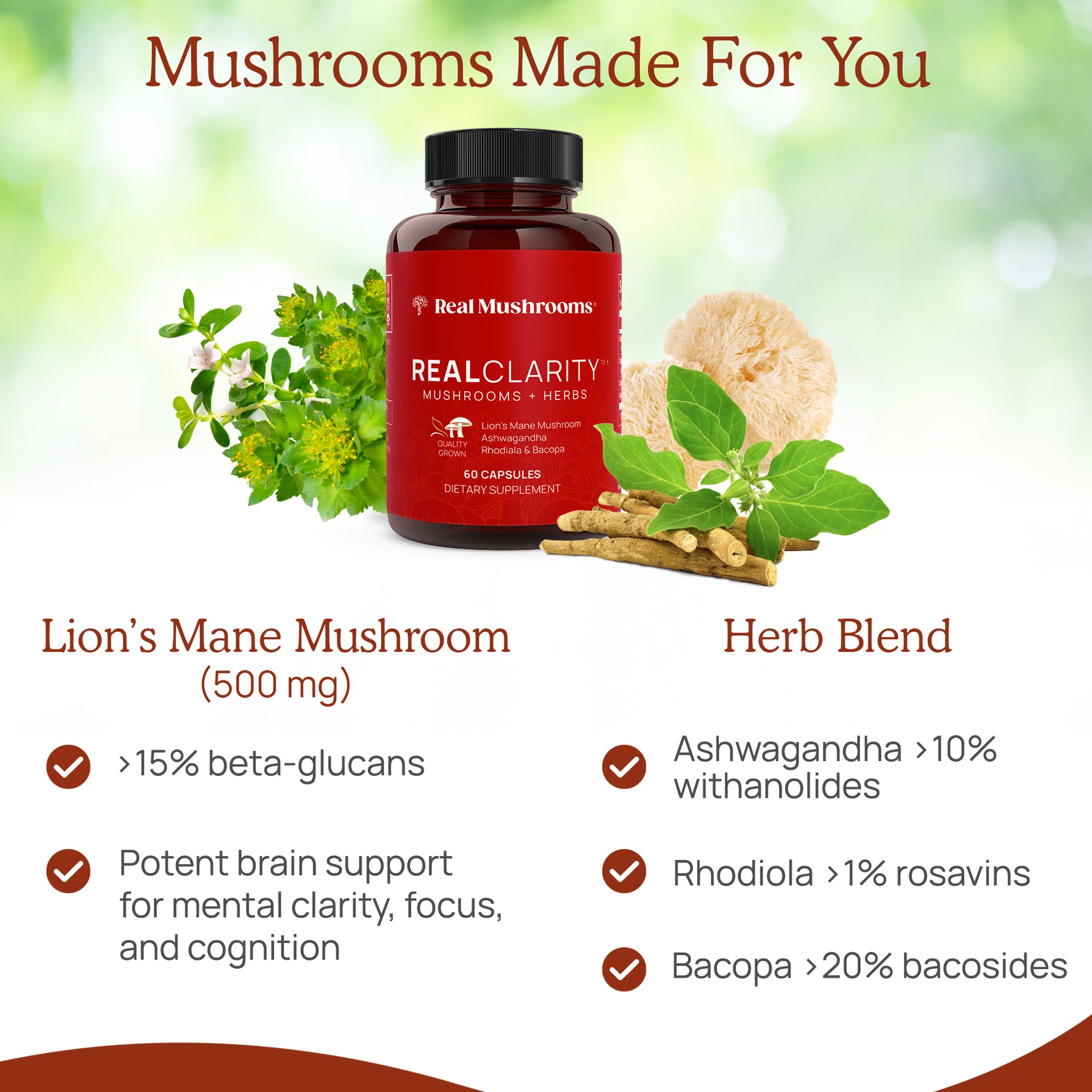 RealClarity - Lion's Mane Mushroom and Blends