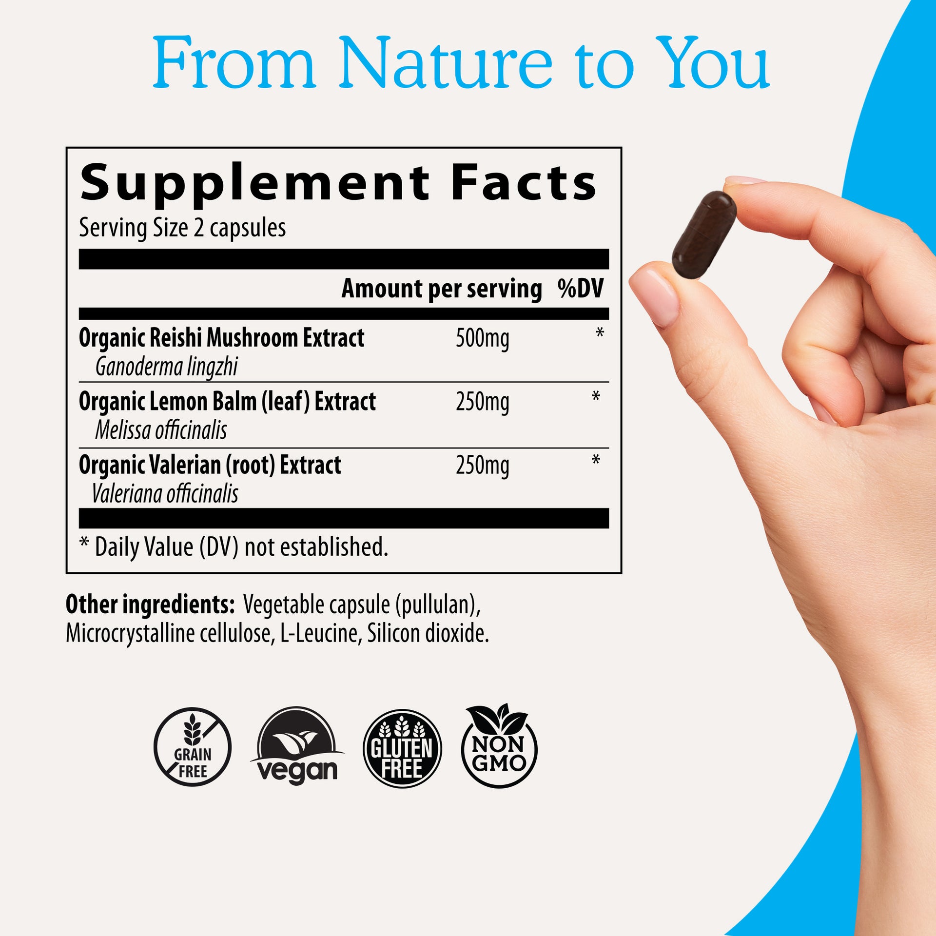 RealRest - Reishi, Valerian and Lemon Balm supplement facts 