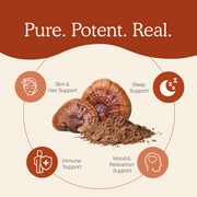 Real Mushrooms Organic Reishi Mushroom Capsules Benefits