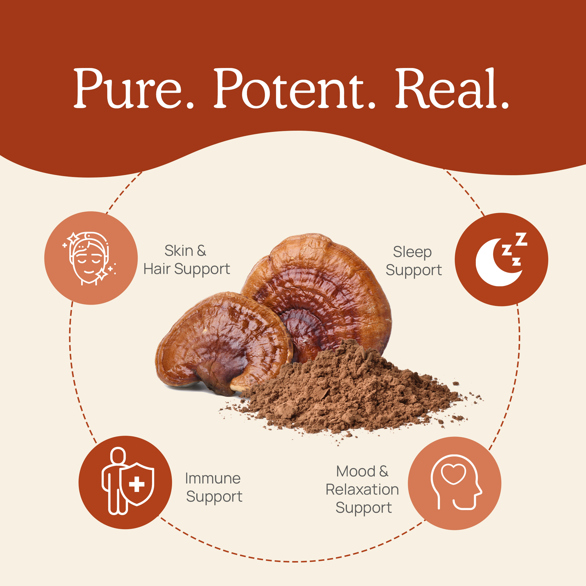 Real Mushrooms Organic Reishi Mushroom Capsules Benefits