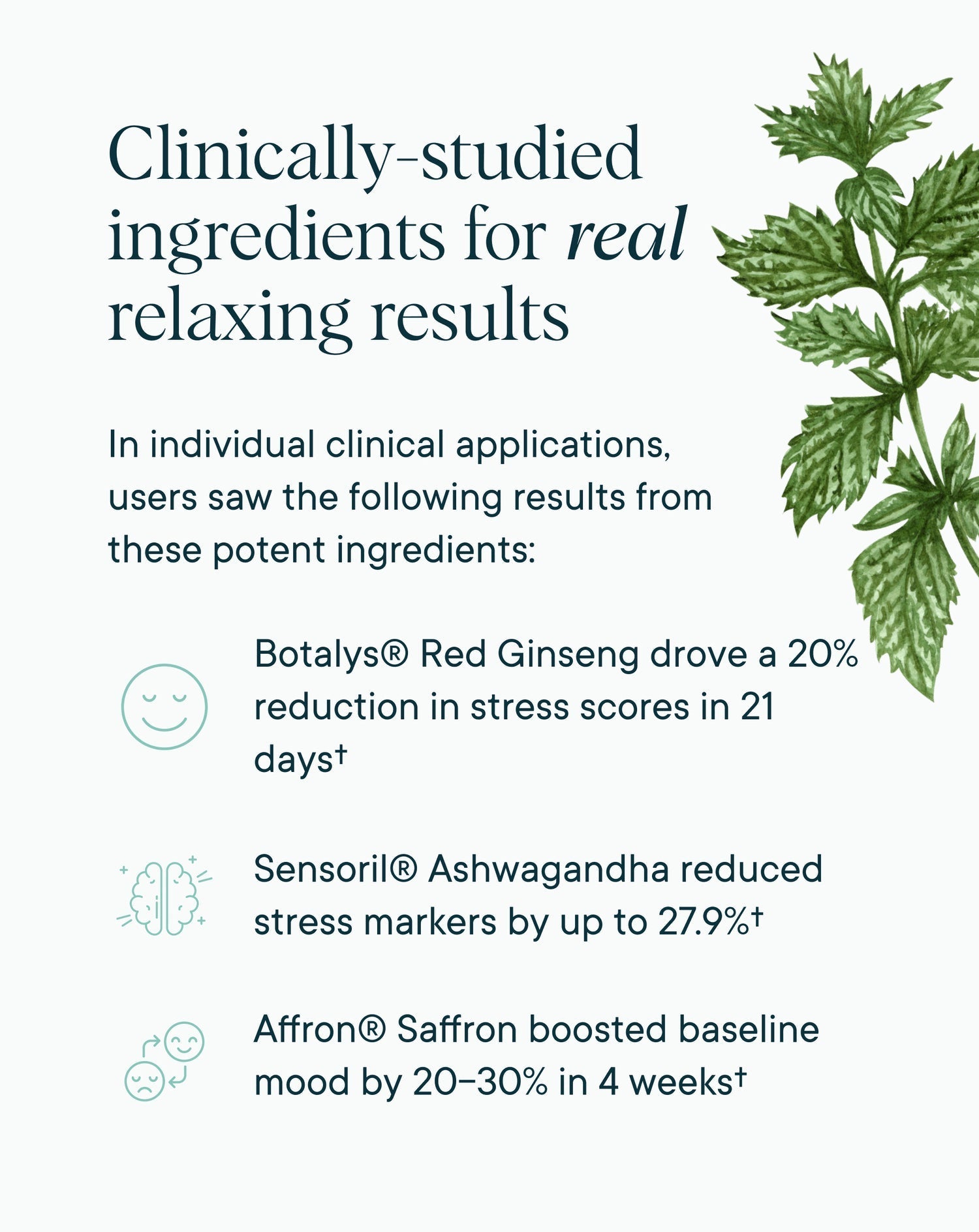 Clinically-studied ingredients for real relaxing results - Ora Organic Stress Support