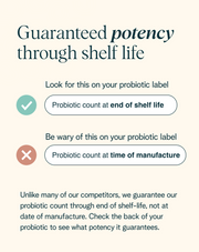 Guaranteed potency through shelf life - Ora Organic Trust Your Gut: Probiotic & Prebiotic Powder