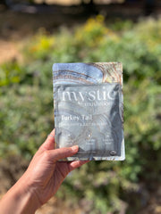 Mystic Mushrooms Turkey Tail Immunity & Gut Health