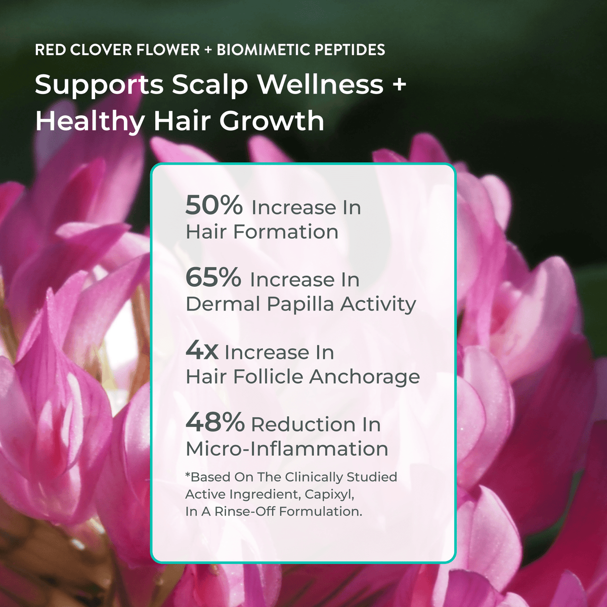 Clinically tested Product is Better Roots Growth Support Shampoo