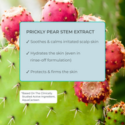 Key benefits of EVOLVh Better Roots Growth Support Shampoo
