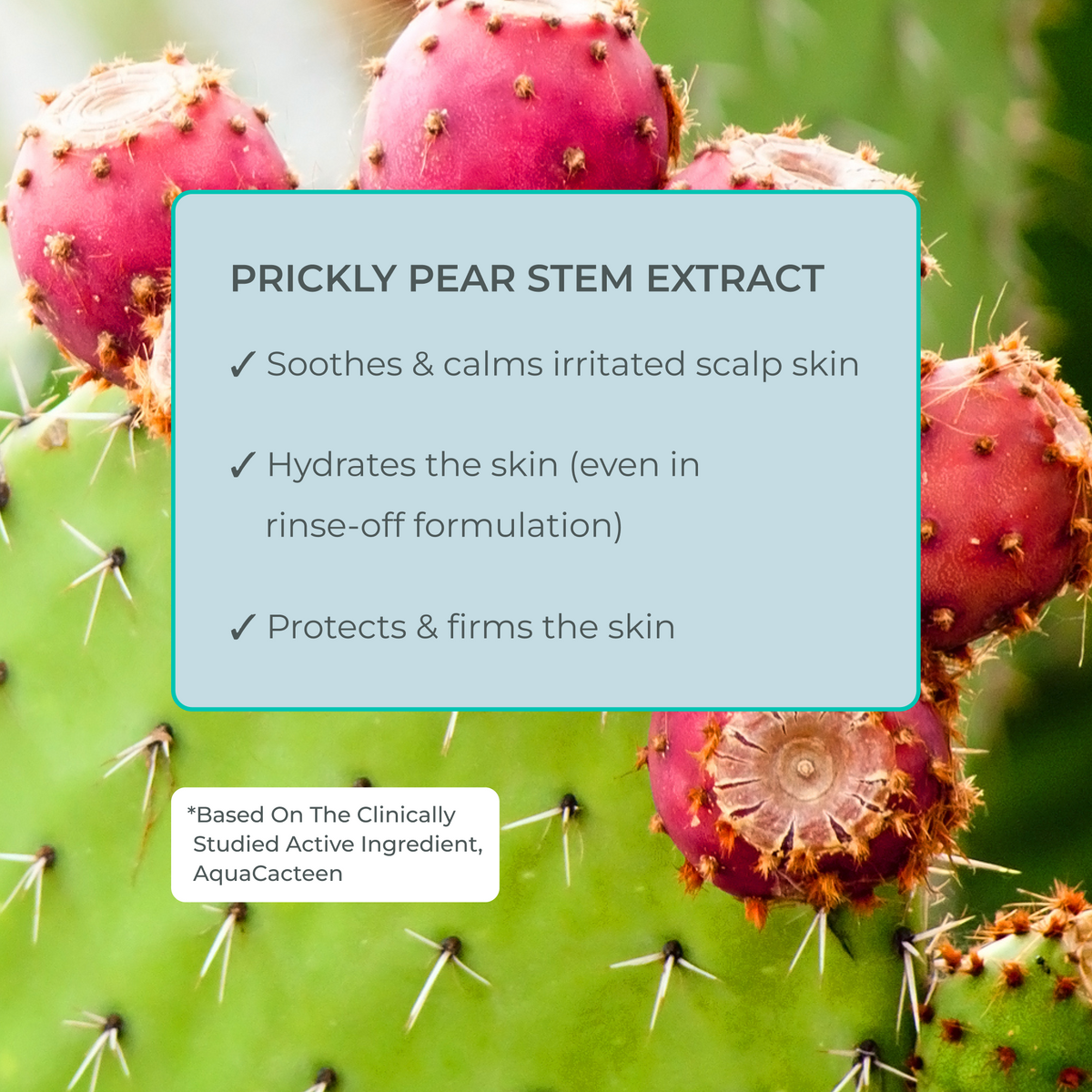 Key benefits of Better Roots Growth Support Shampoo