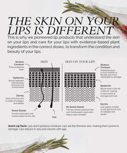 Fitglow Beauty Naturally Nude Vegan Lip Liner Set