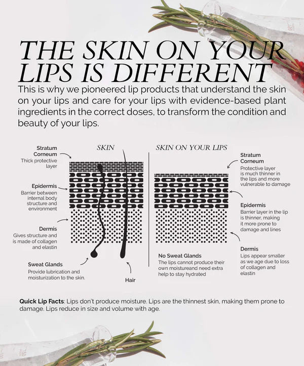 Fitglow Beauty Naturally Nude Vegan Lip Liner Set