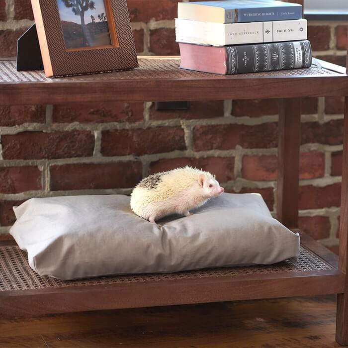 Naturepedic Organic Pet Bed with Washable Waterproof Cover Small