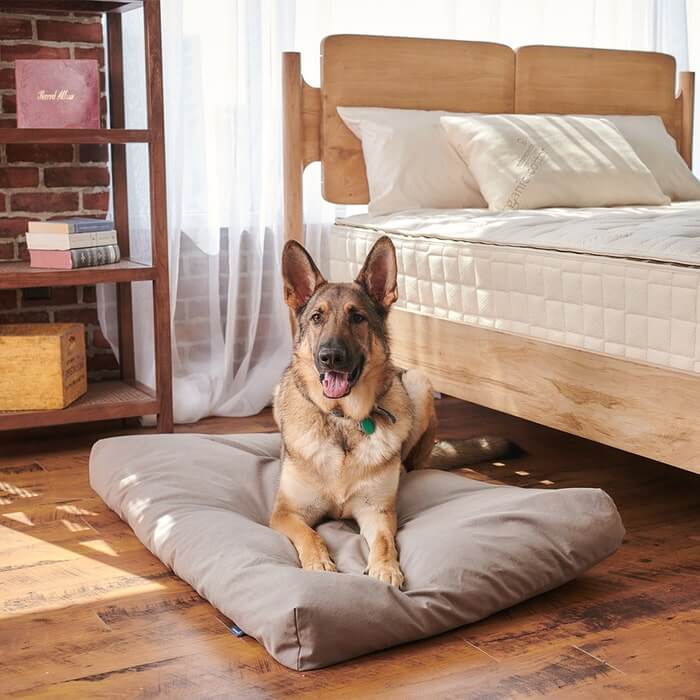 Naturepedic Organic Pet Bed with Washable Waterproof Cover Large