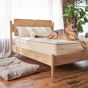 Naturepedic Organic Pet Bed with Washable Waterproof Cover