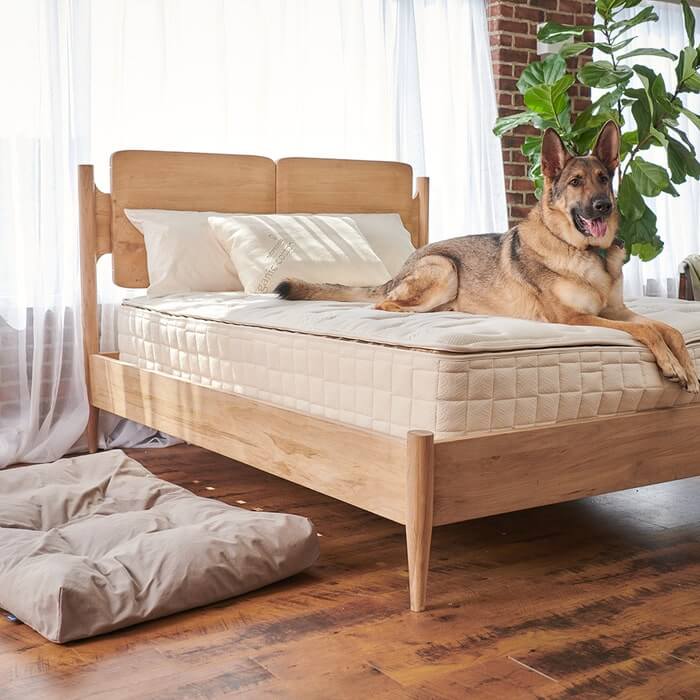 Naturepedic Organic Pet Bed with Washable Waterproof Cover