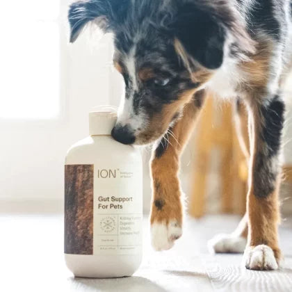 ION* Gut Support For Pets - 8 oz