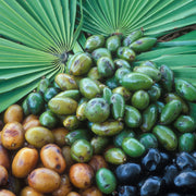 Herb Pharm SAW PALMETTO EXTRACT - 1 OZ