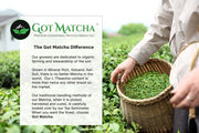 Got Matcha - MATCHAGA Matcha Chaga Blend