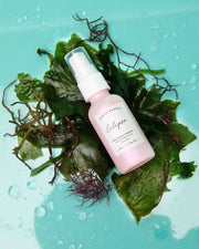 Earth Harbor Sheer Mineral Sunscreen Sclipse